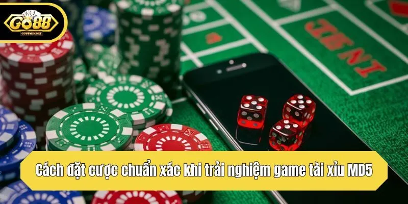 Cách đặt cược chuẩn xác khi trải nghiệm game tài xỉu MD5
