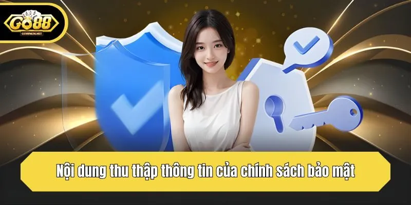 Nội dung thu thập thông tin của chính sách bảo mật